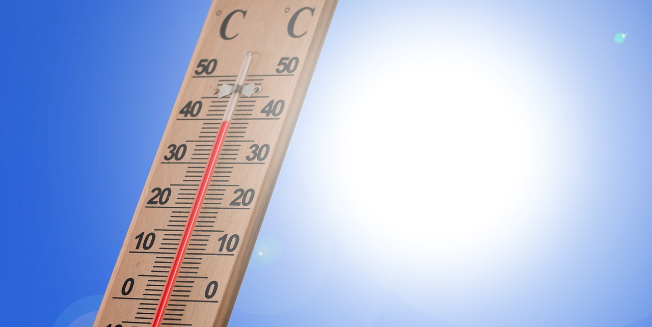 thermometer-3581190_1280