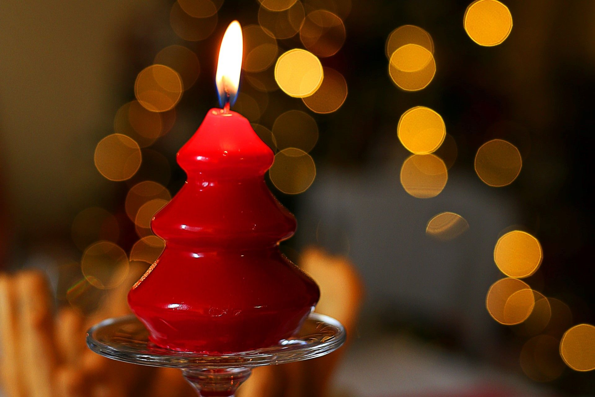 sapin bougie