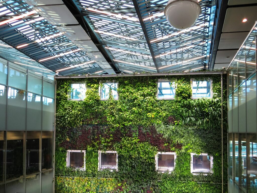 Harmonie végétale dans l'espace intérieur : Créez une oasis de sérénité