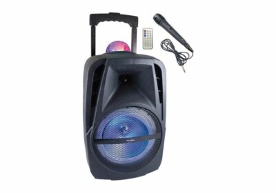 Enceinte Karaoké Lumineuse Bluetooth (KA116 BOWL)