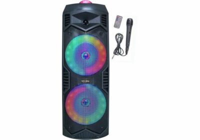 Enceinte Karaoké Lumineuse Bluetooth (KA113 XXL)