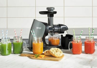 acheter extracteur de jus savanna 974 réunion