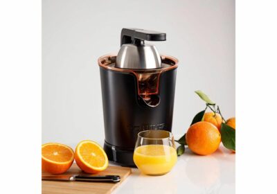 Presse-Agrumes à Levier en Acier Inoxydable Eazy Press 600W Taurus