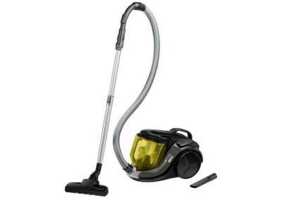 Aspirateur sans Sac Rowenta (RO6924EA)