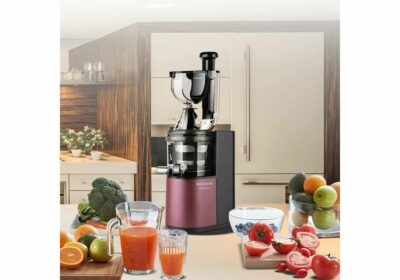 acheter Extracteur de Jus savanna réunion 974