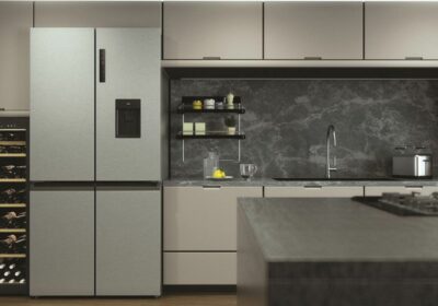 commander réfrigérateur st louis 974 réunion