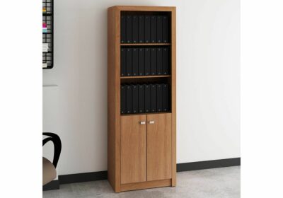 Bibliothèque 2 Portes 2 Étagères