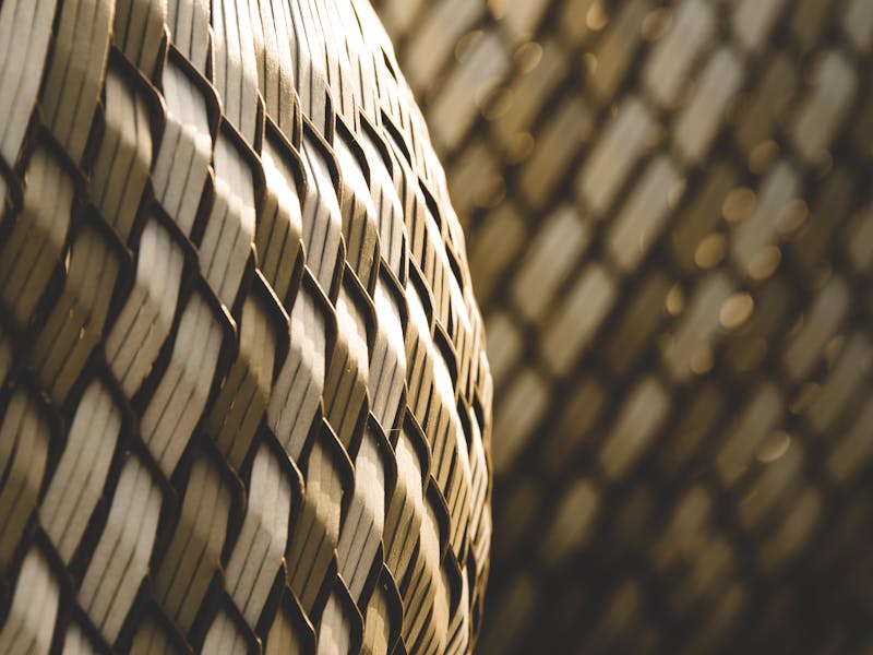 pexels-lum3n-44775-239908