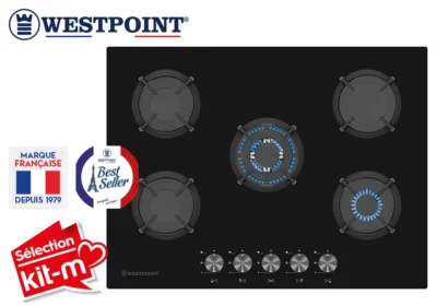 commander plaque de cuisson savannah 974 réunion