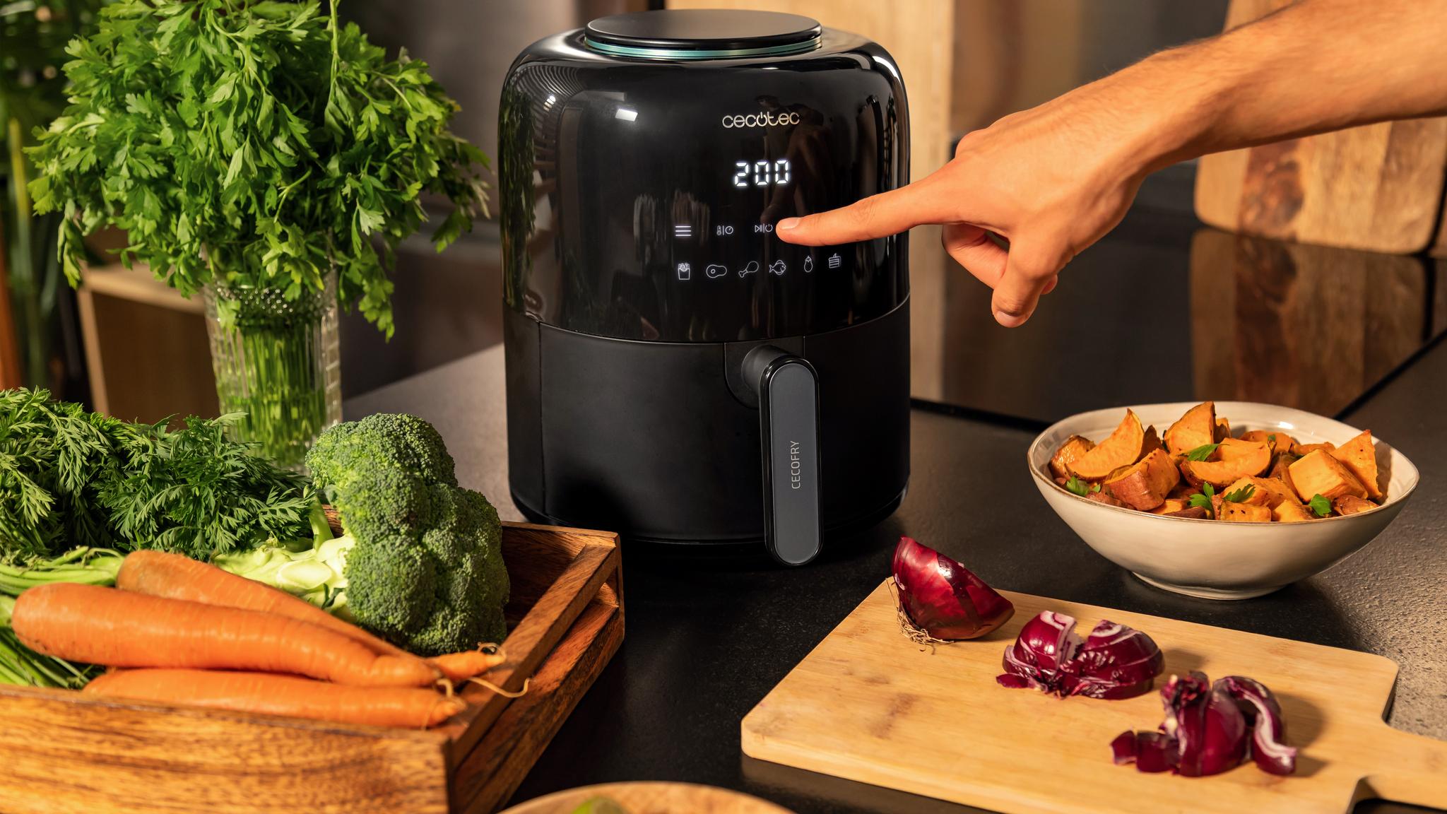 cecofry-pixel-2500-touch_2