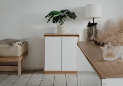 Commode 2 Portes (Collection Phoenix)