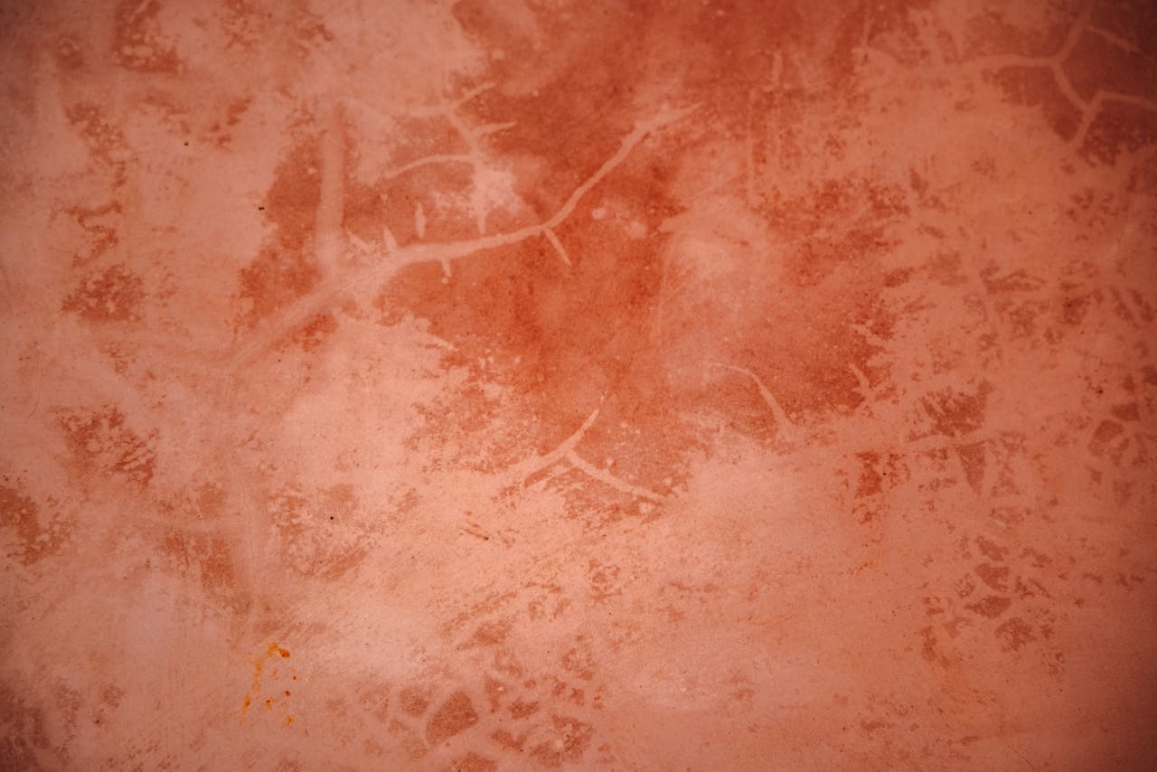 pexels-roman-odintsov-11025124