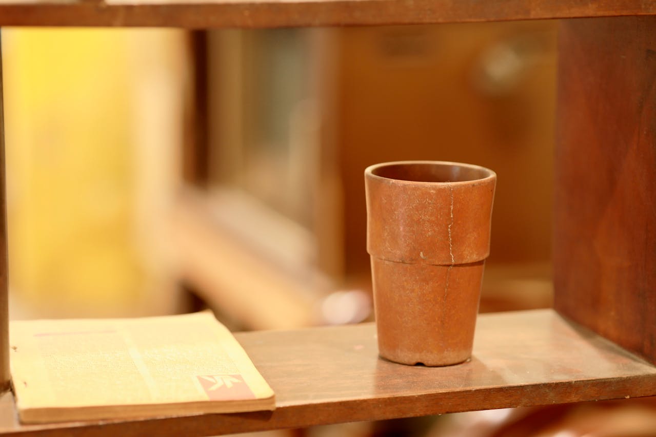 pexels-vo-nguy-n-terri-2150303799-31302859