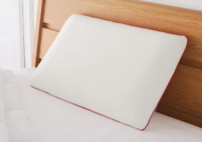 Oreiller à Mémoire de Forme Queen