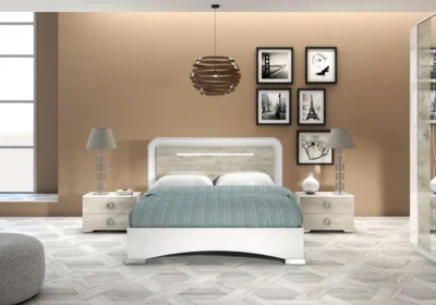 Argentier 2 Portes (Collection Felix) Meubles Votre Magasin de Meuble et Électroménager à La Réunion ! 5 Lit 140x190cm (Collection Chantal)