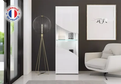 Vitrine 1 Porte LED (Collection PULP)