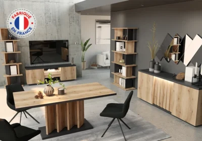 Meuble TV 2 Portes 1 Tiroir LED (COLLECTION AYA)