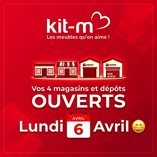 Crêpière 2en1 Fun Crepestone Twin Cecotec (8008) Cuisine Votre Magasin de Meuble et Électroménager à La Réunion ! 2